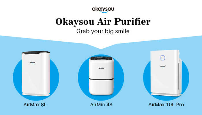 Okaysou Air Purifier - grab your big smile and pick the right one for your home.