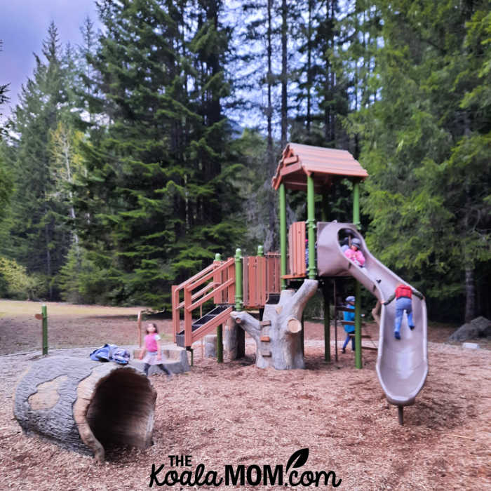 Adventure Playground in the Paleface Campground.