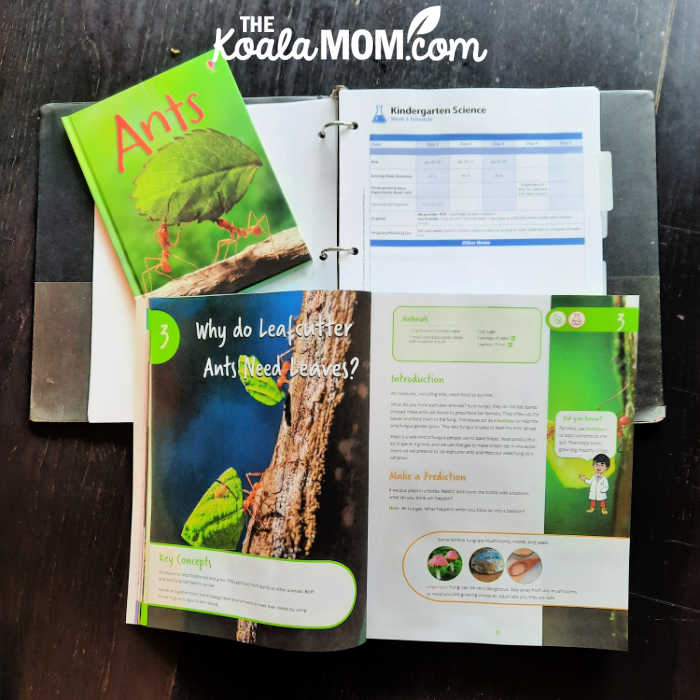 Ant unit study: suggested schedule, experiment and book to read in the BookShark homeschool science kit.