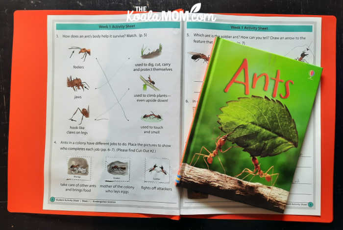 A sample of the BookShark Science Level A activity pages for the Ants book.