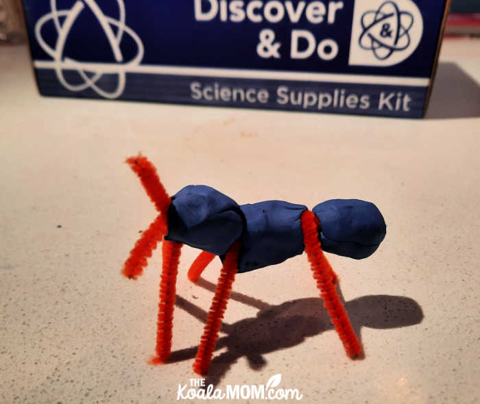 A clay and pipe-cleaner ant model, one of the experiments in the BookShark Science Level A kit.