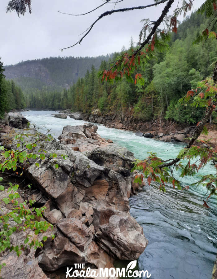 Clearwater River above the Kettle Falls.