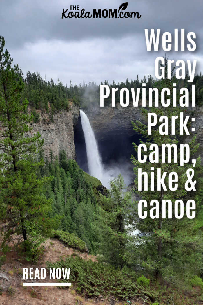 Wells Gray Provincial Park: camp, hike and canoe.