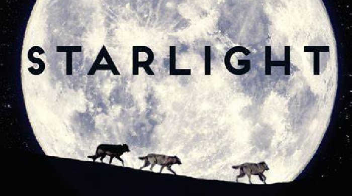 Starlight by Richard Wagamese • The Koala Mom