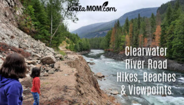 Clearwater River Road Hikes, Beaches & Viewpoints