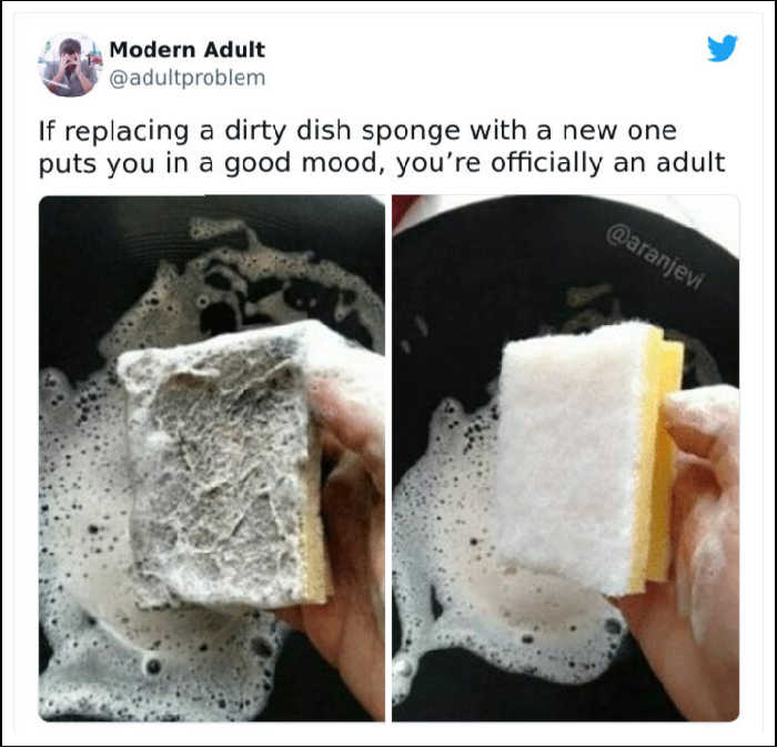 If replacing a dirty dish sponge with a new one puts you in a good mood, you're officially an adult. 
