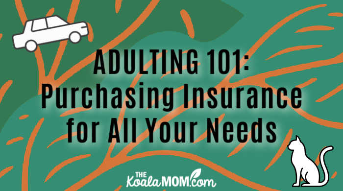 Adulting 101 Purchasing Insurance for All Your Needs The Koala Mom