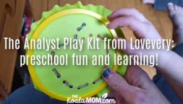 The Analyst Play Kit from Lovevery: preschool fun and learning!