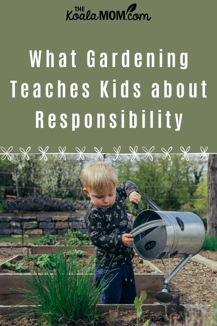 What Gardening Teaches Kids About Responsibility. Photo by Filip Urban on Unsplash