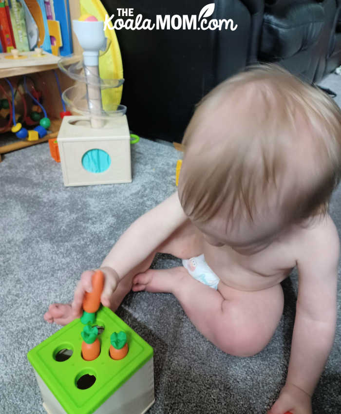 Lovevery carrot sorting toy.