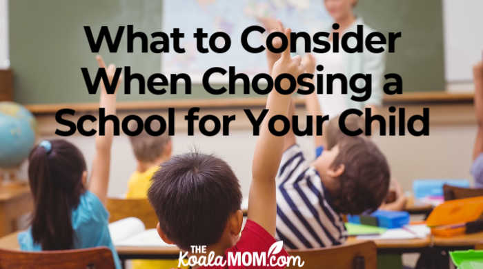 What to Consider When Choosing a School for Your Child • The Koala Mom