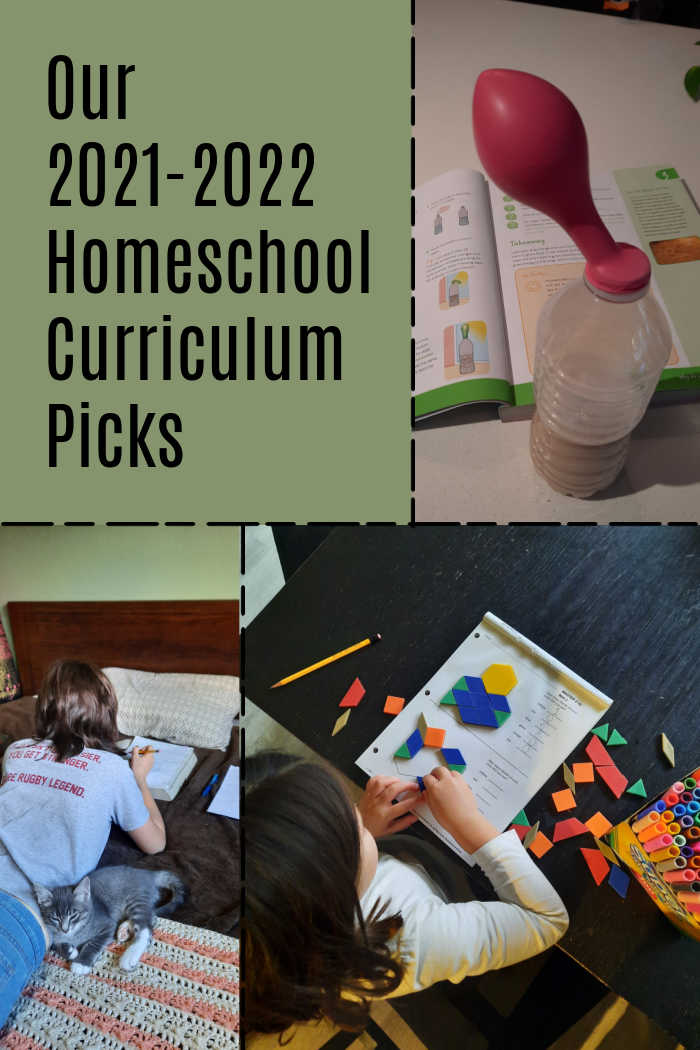 Our 2021-2022 Homeschool Curriculum Picks