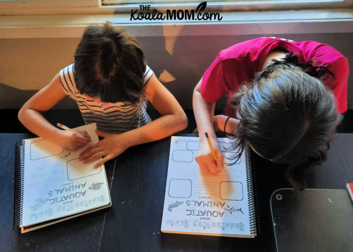 Two students working on their Apologia science notebooking journals.