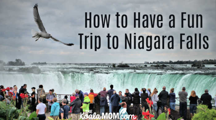 How to Have a Fun Trip to Niagara Falls. Photo by Shlomo Shalev on Unsplash