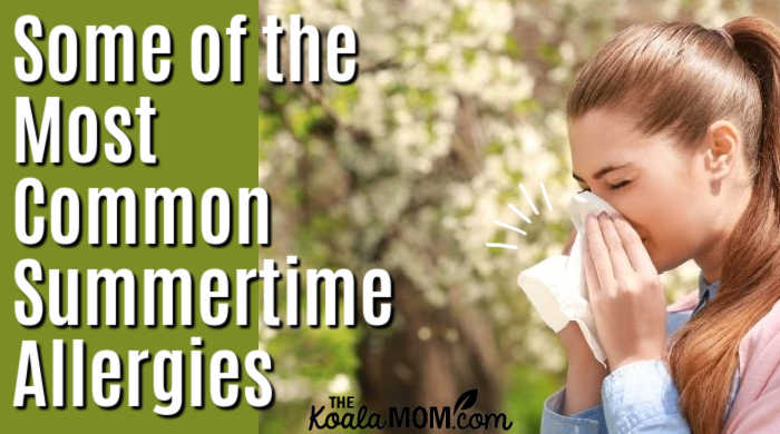 Some of the Most Common Summertime Allergies • The Koala Mom