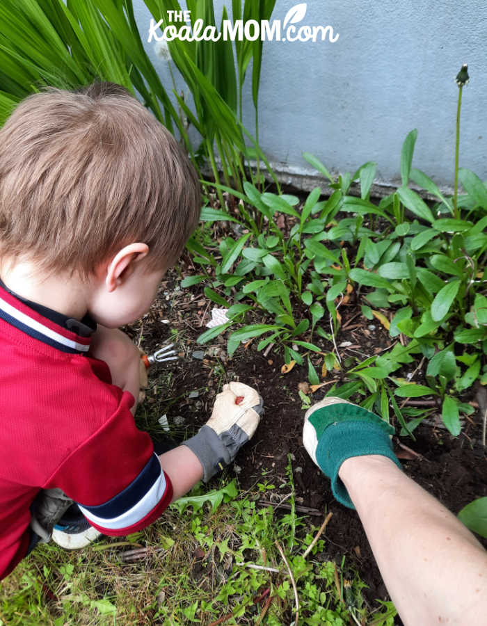 Four-year-old gardens with his mother.