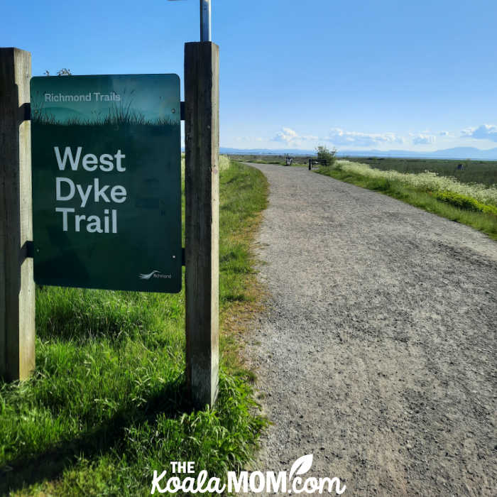 West Dyke Trail is perfect for biking and walking in Richmond, BC