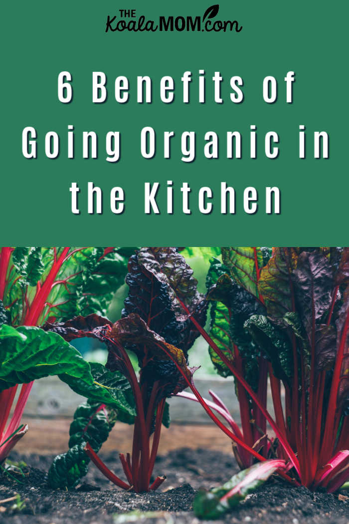 6 Benefits of Going Organic in the Kitchen. Photo by Markus Spiske on Unsplash