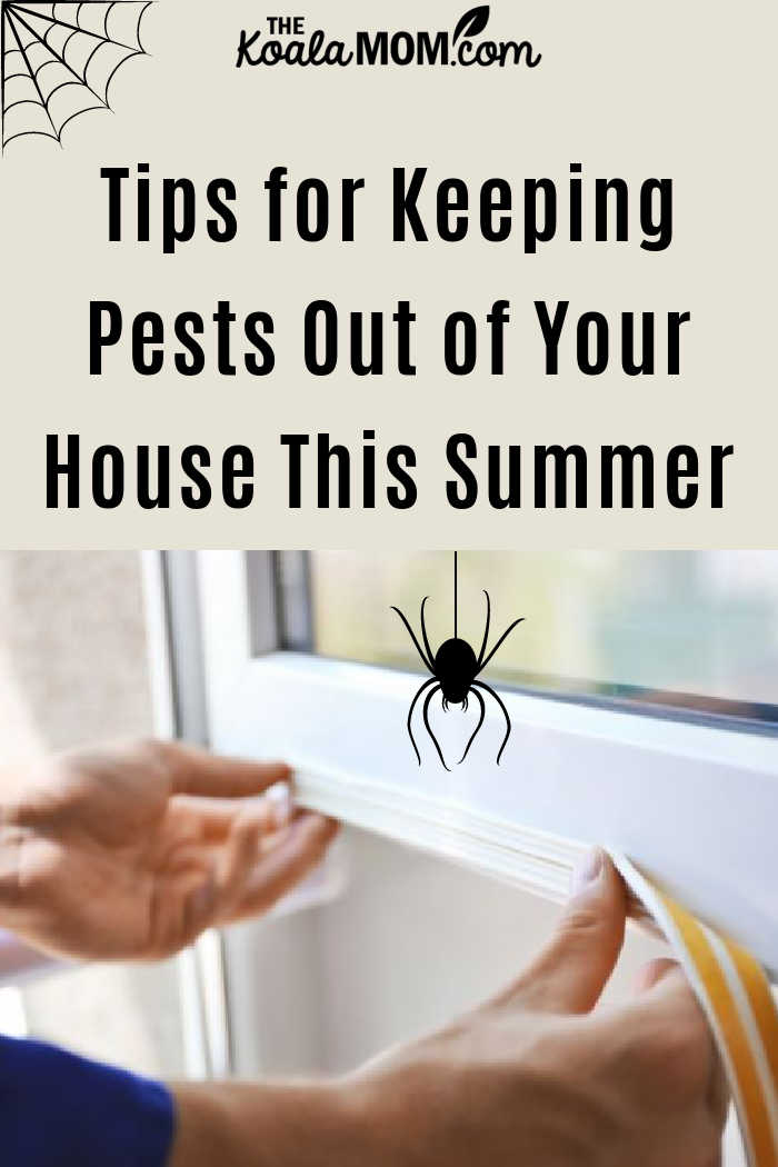 Tips for Keeping Pests Out of Your House This Summer.