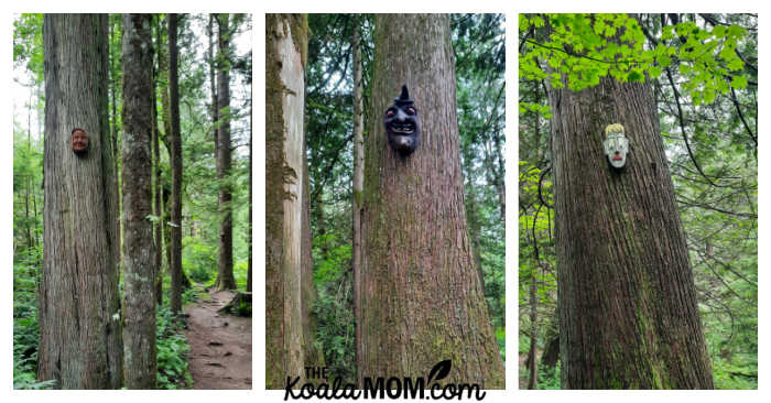 Clay masks on trees along the Spirit Trail.