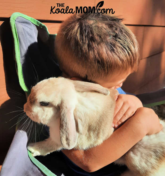 4-year-old boy holds a white lop-eared bunny.. Photo by Bonnie Way.
