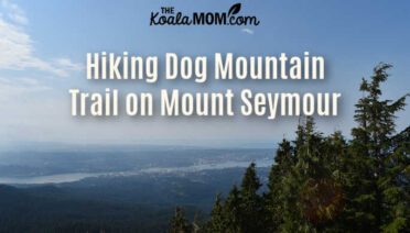 Dog Mountain Trail on Mount Seymour