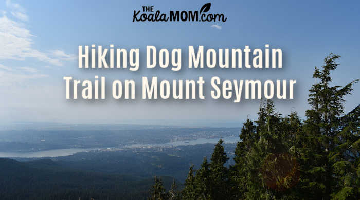 can you hike dog mountain in the winter