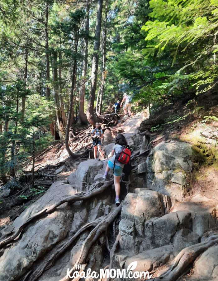 Kids hiking the Dog Mountain Trail.