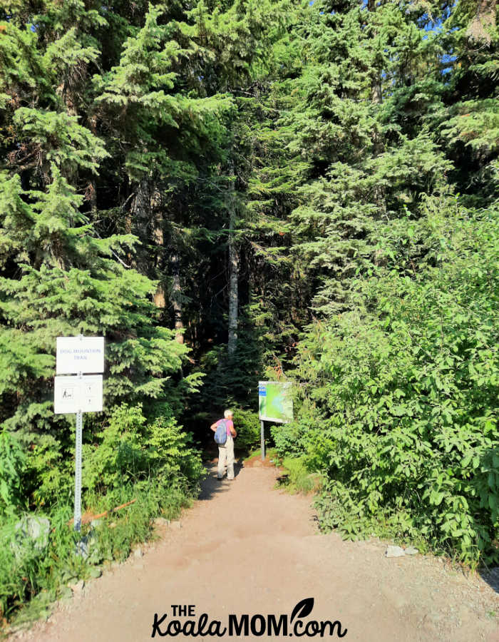 Woman stands at the map at the start of the Dog Mountain Trail.