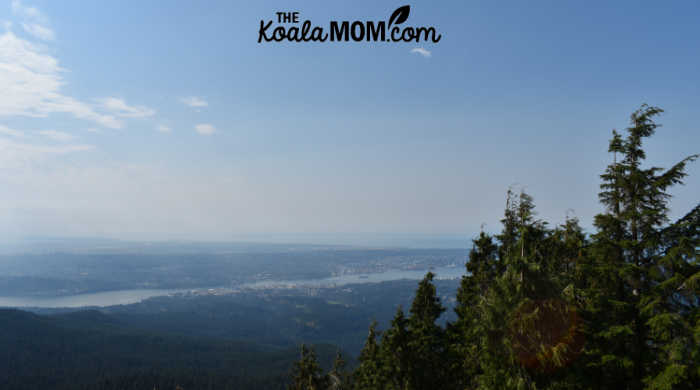 The view from the Dog Mountain lookout.