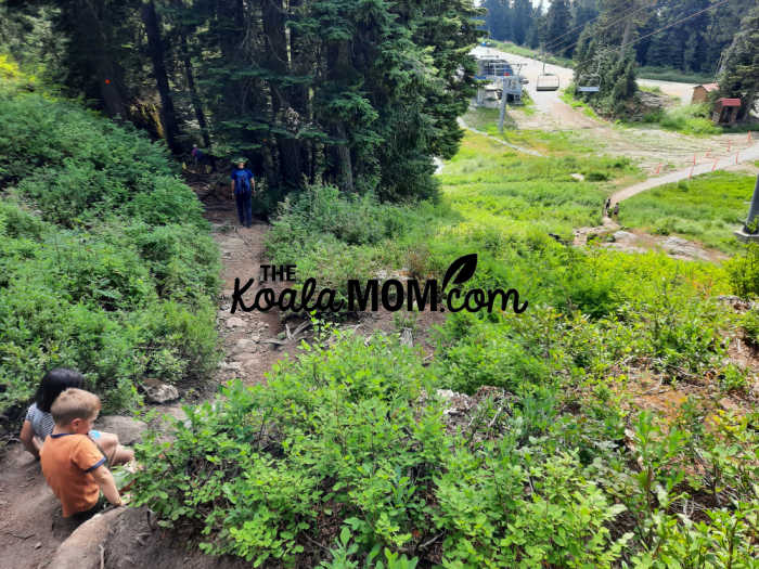 Hiking at Mt Seymour