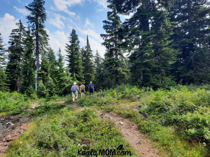 Mystery Lake Trail