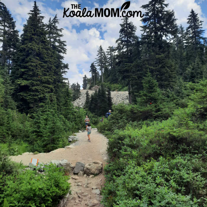 Dog Mountain Trail meets Mt. Seymour ski runs.