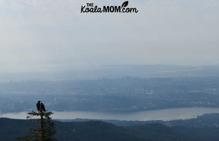 Vancouver from Dog Mountain.