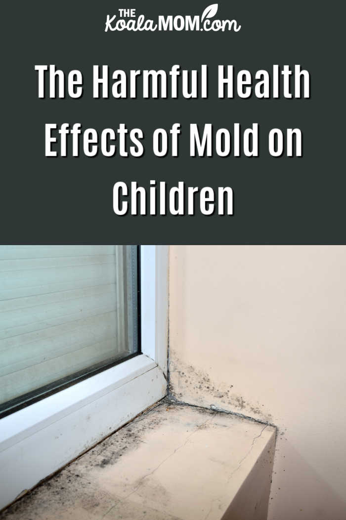 The Harmful Health Effects of Mold on Children. Photo of mold under a windowsill via Depositphotos.