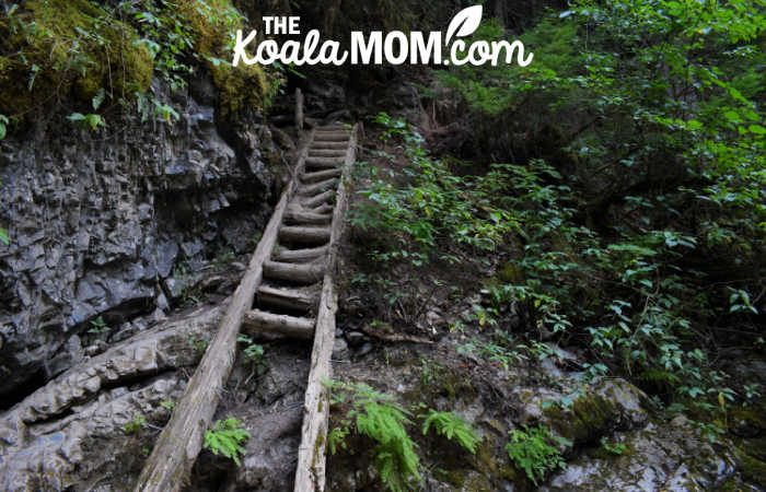 Wooden stairs to the Chipmunk Caves.