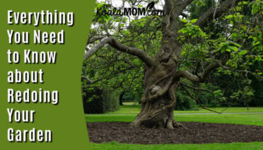 Everything You Need to Know about Redoing Your Garden. Image of large green tree in a garden by Mike B on Pexels.