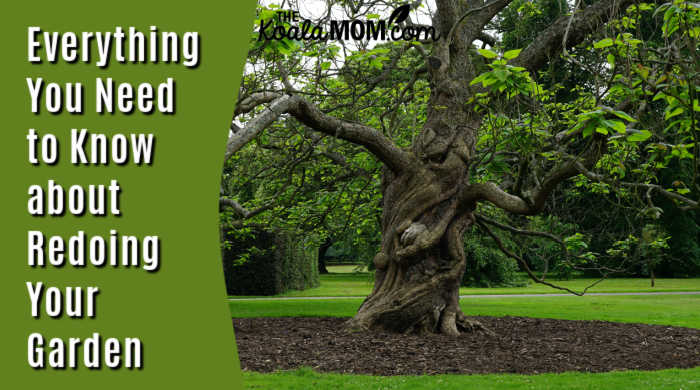 Everything You Need to Know about Redoing Your Garden. Image of large green tree in a garden by Mike B on Pexels.