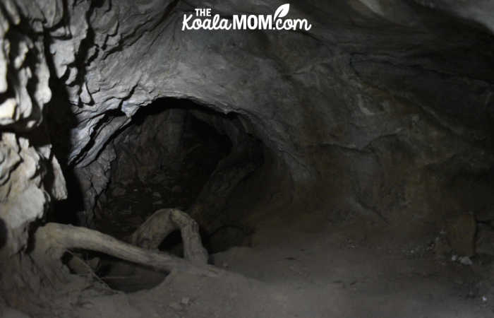 Inside Chipmunk Caves.