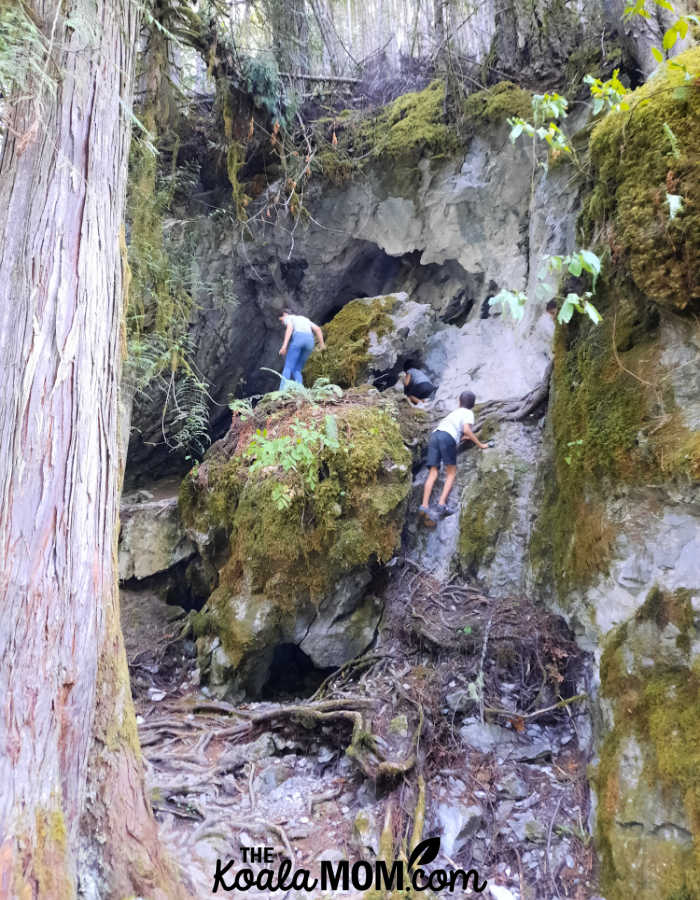 Kids climbing over rocks and roots while exploring.