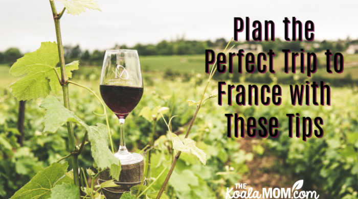Plan the Perfect Trip to France with These Tips. Photo of a glass of wine in a grape orchard by Elle Hughes on Pexels.