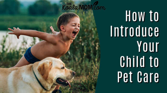 How to Introduce Your Child to Pet Care. Photo via Pexels.
