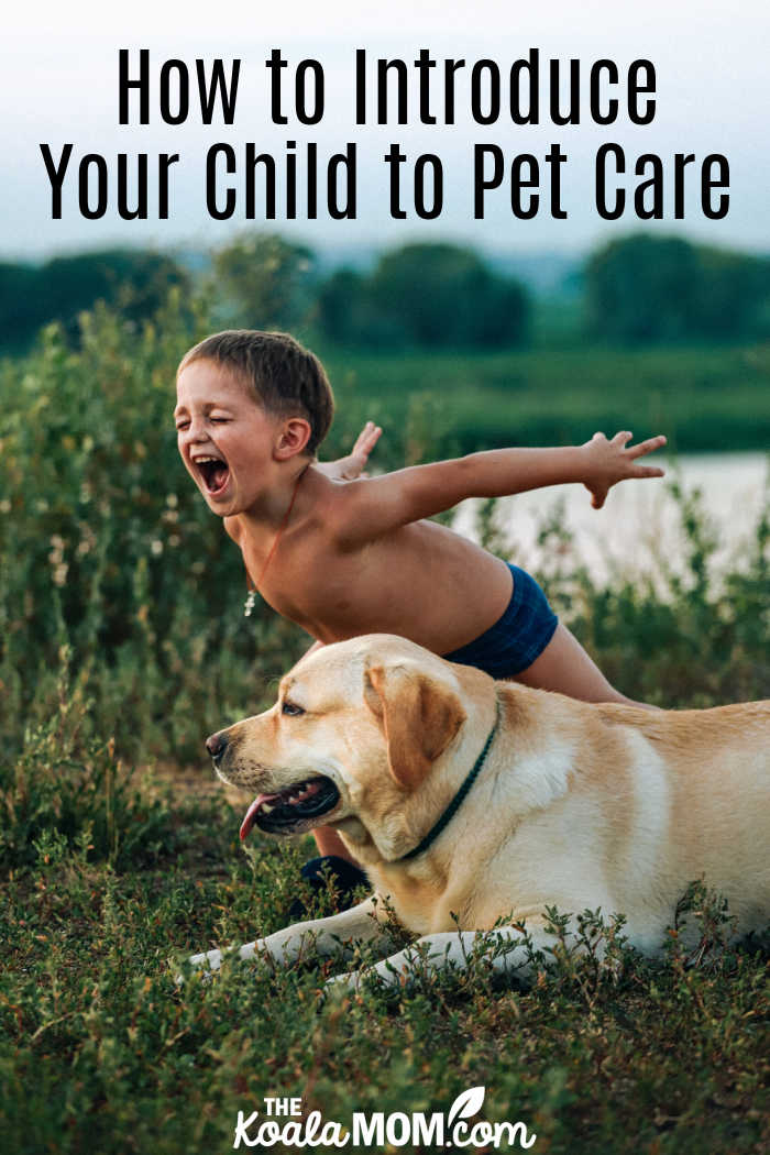 How to Introduce Your Child to Pet Care. Photo via Pexels.