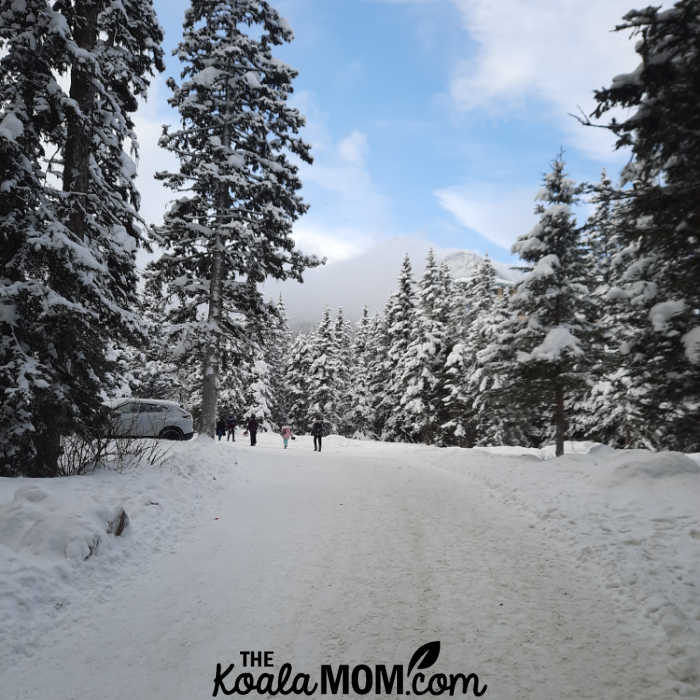 Walking the path from the parking lot to Lake Louise in the winter.