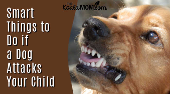 what to do if a dog attacks a child