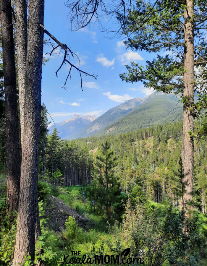 Mountain views from the valley trail in Panorama, BC.