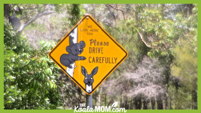 Photo of a yellow sign with a koala and kangaroo cartoon saying "We live here too, please drive carefully!" by Lynnette Greenslade on Unsplash.