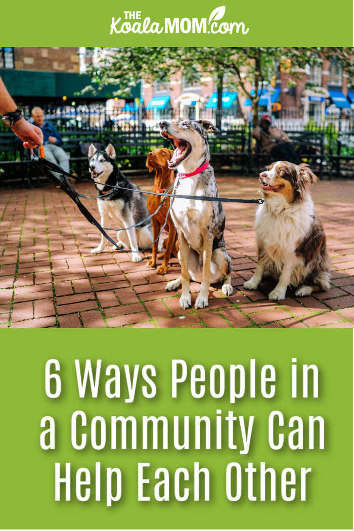 6 Ways People in a Community Can Help Each Other. Photo of 4 dogs on leashes in a park by Matt Nelson on Unsplash.