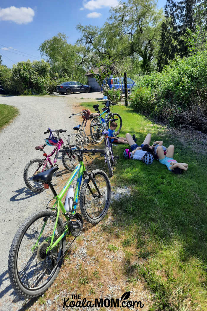 Cyclists taking a break in the shade along the Pitt Meadows dike trails.