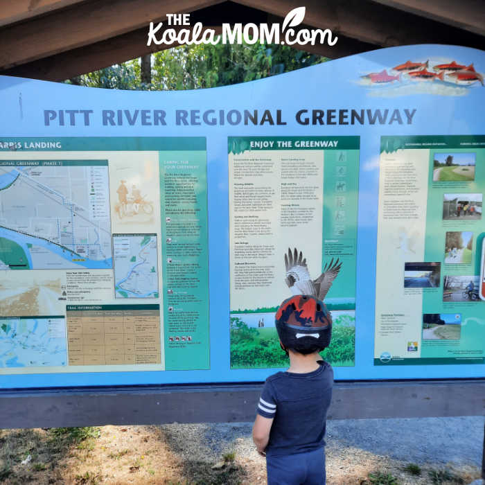 Boy looking at a sign about the Pitt River Regional Greenway in Pitt Meadows.
